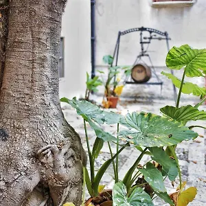 Couette-café Garibaldi, Alcamo